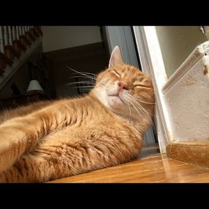 Meet your Posher, Brianna